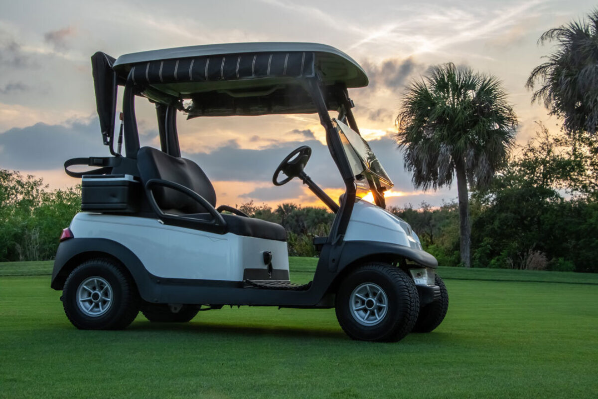 Best Lithium Golf Cart Battery | RELiON