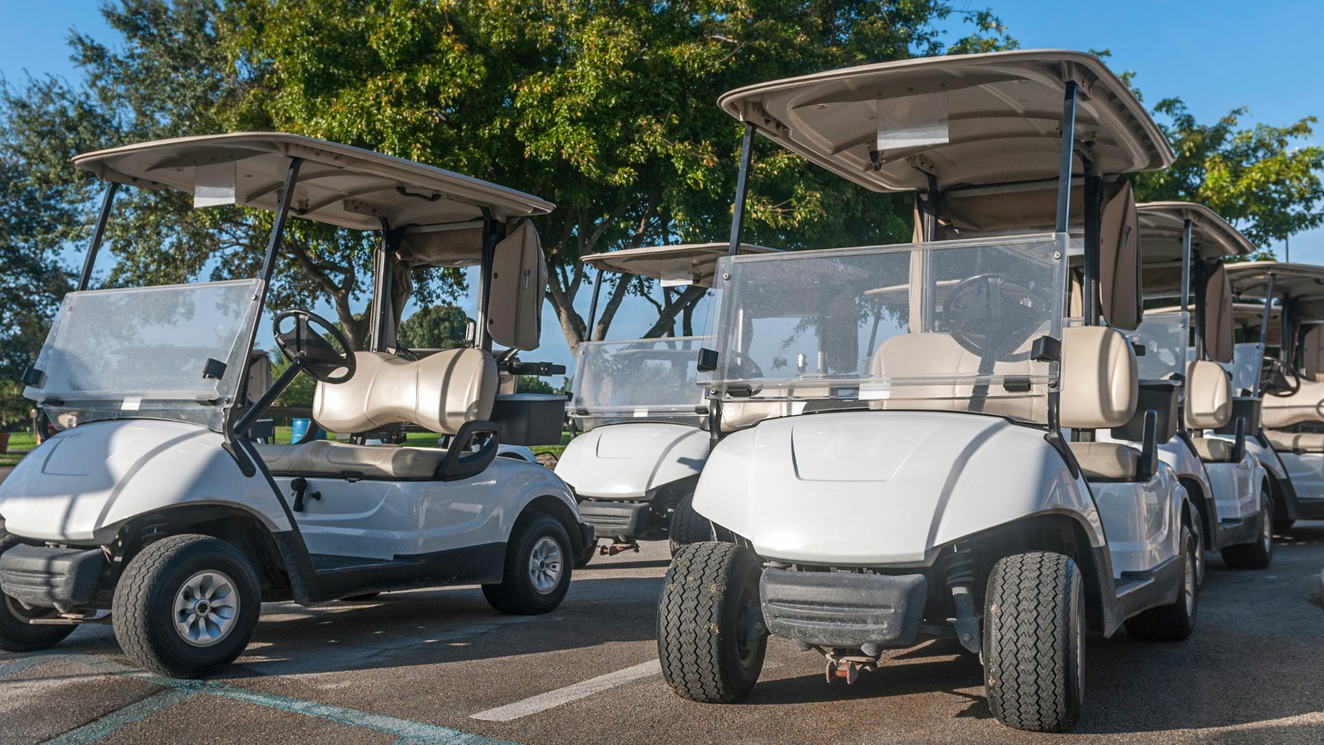 Long Lasting Lithium Powered Golf Cart