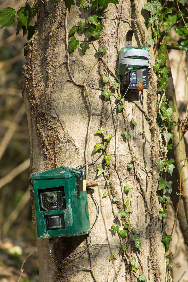 Lead Acid Trail Camera Battery