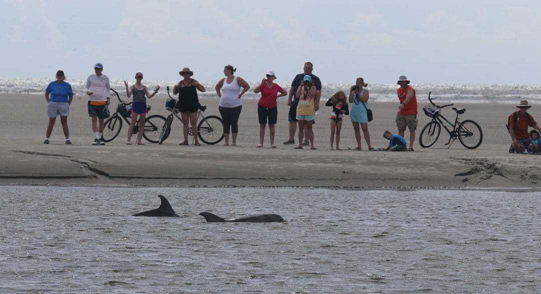 Dolphin Protection Educational Seminar