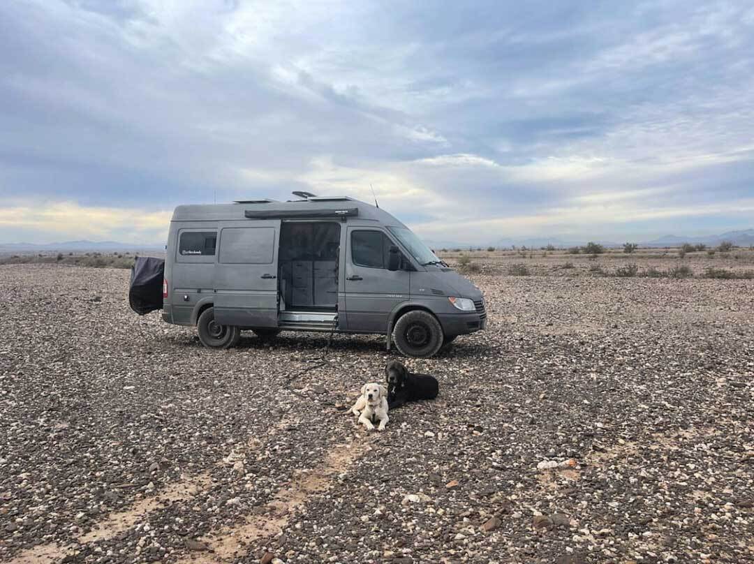 Skokie Camper Van With Pups